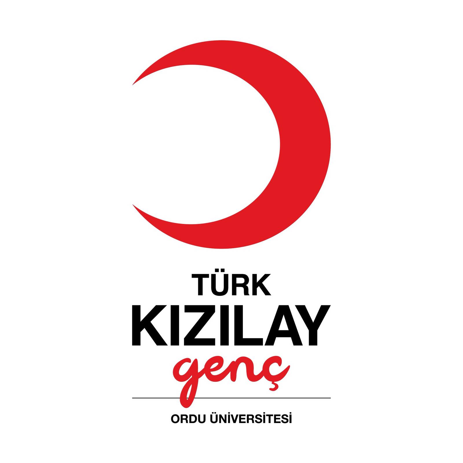 Teknofest Kulübü